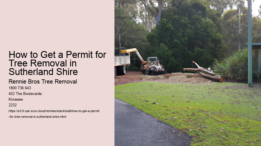How to Get a Permit for Tree Removal in Sutherland Shire  