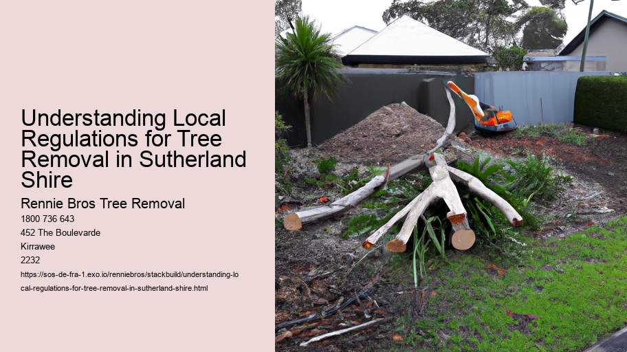 Understanding Local Regulations for Tree Removal in Sutherland Shire  