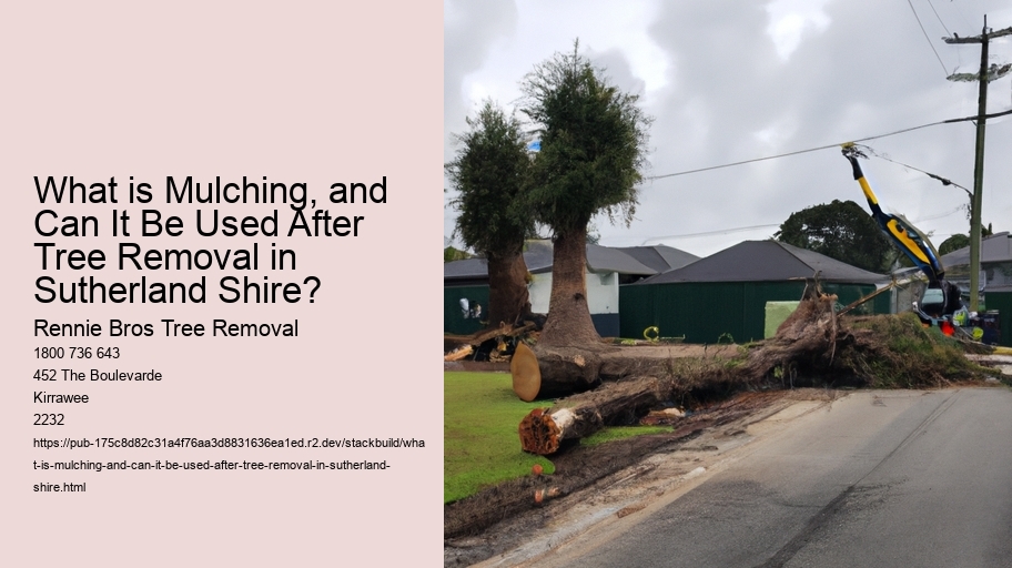 What is Mulching, and Can It Be Used After Tree Removal in Sutherland Shire?