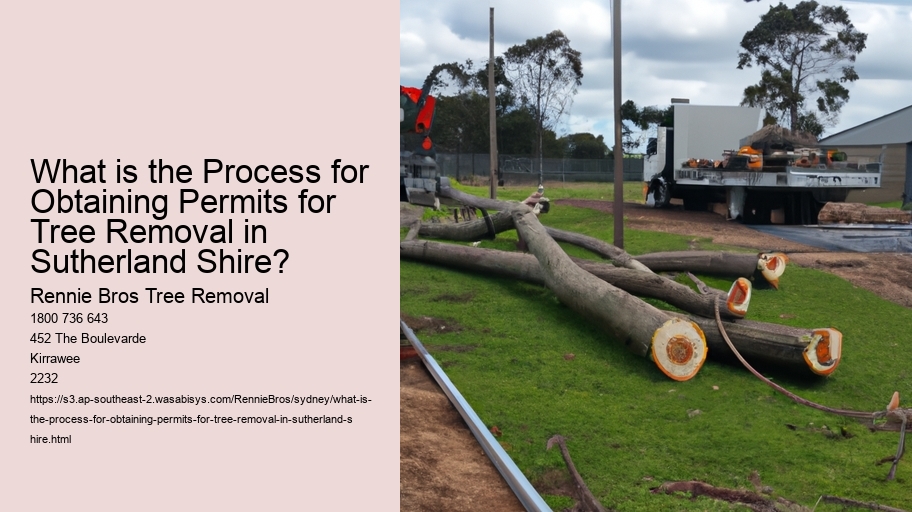 What is the Process for Obtaining Permits for Tree Removal in Sutherland Shire?