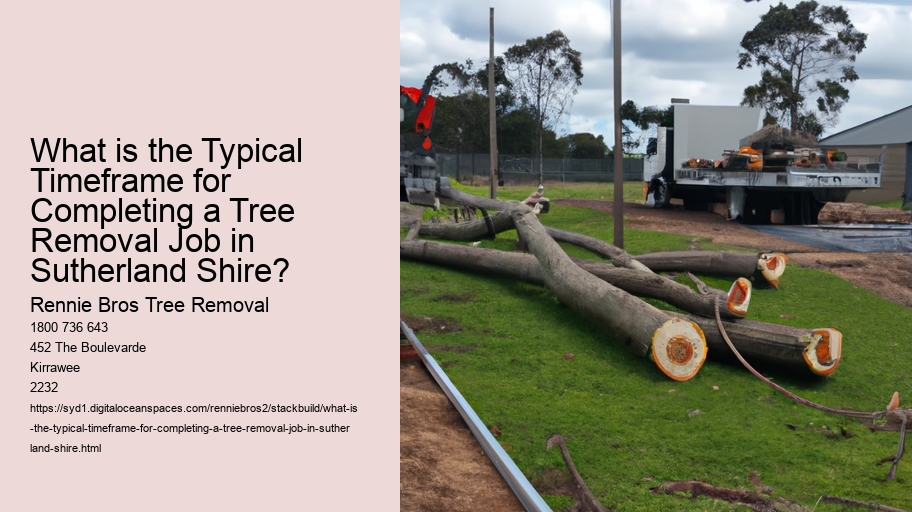 What is the Typical Timeframe for Completing a Tree Removal Job in Sutherland Shire?