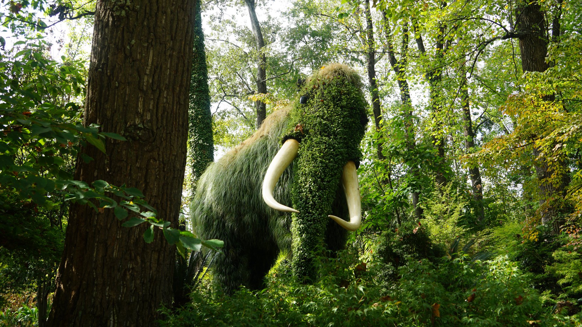 Atlanta Botanical Garden - mammoth