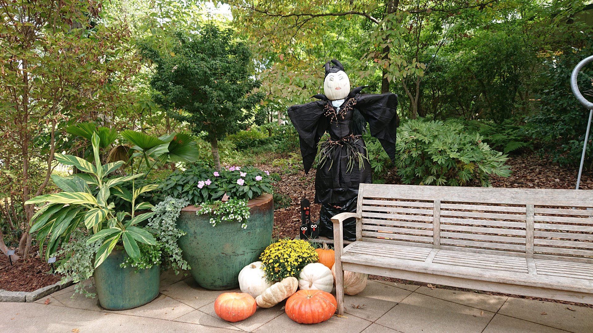 Atlanta Botanical Garden - scarecrow