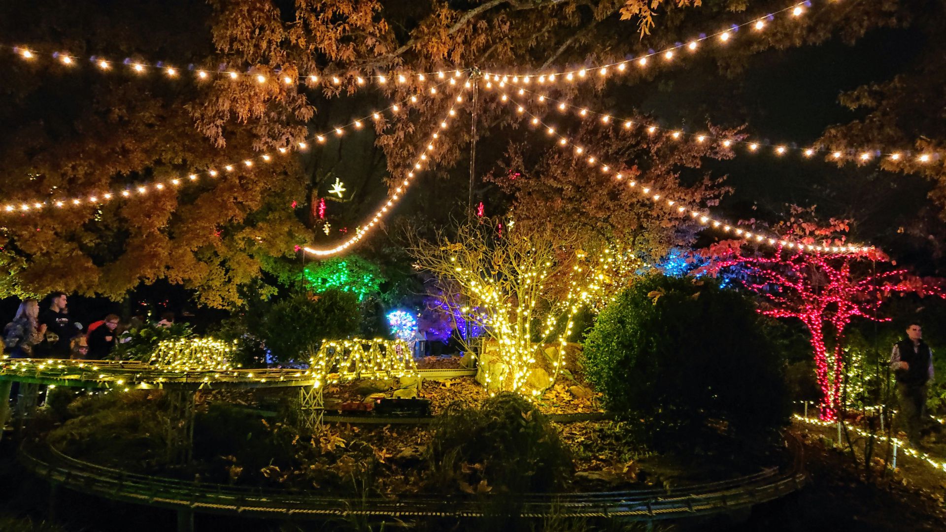 Atlanta Botanicl Garden - Garden Lighs - Holiday Nights