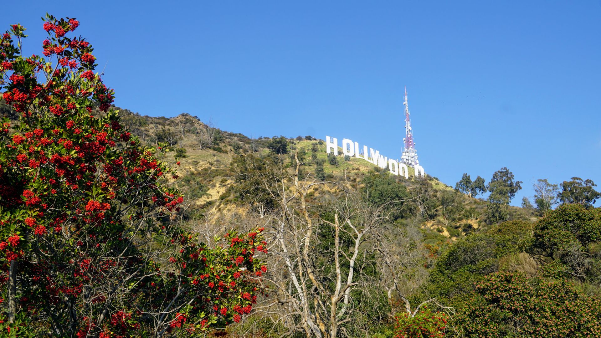 Los Angeles, CA - Hollywood sign