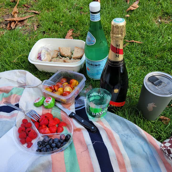 champagne picnic