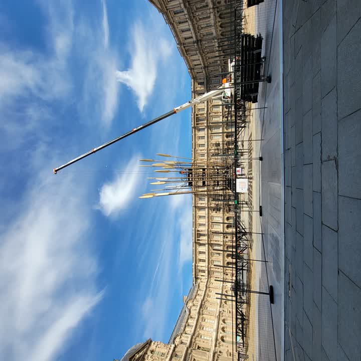 Louvre Feathers