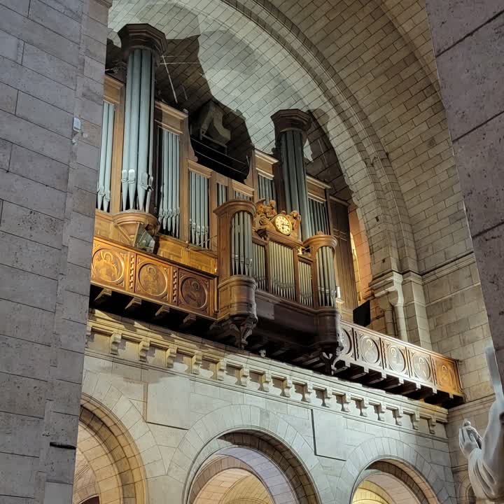 Organ