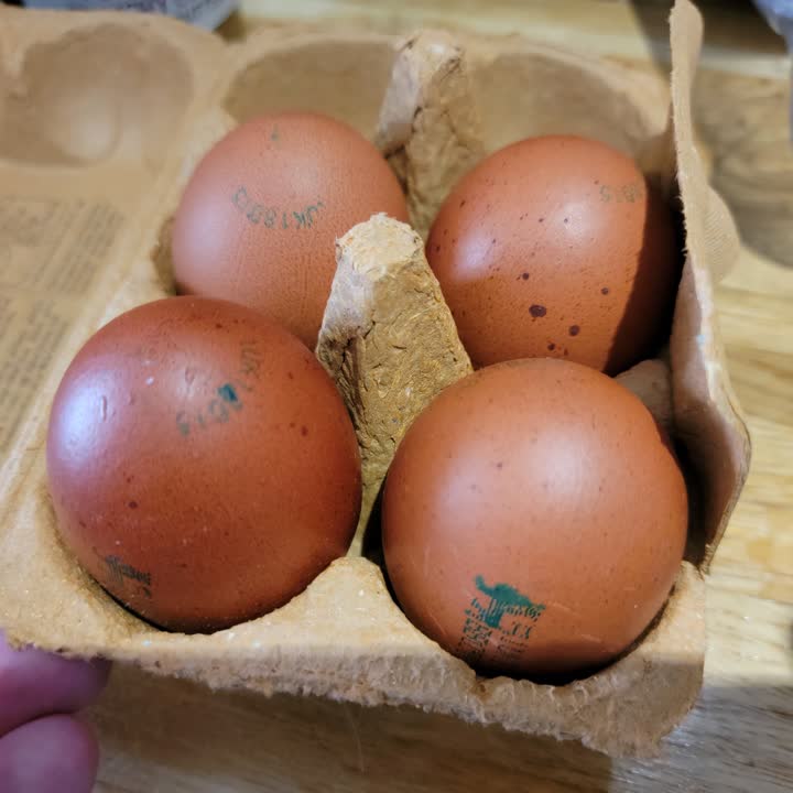 eggs2