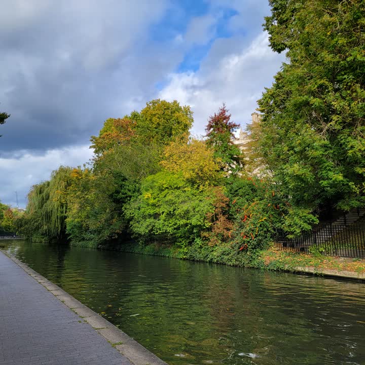 canal-trees1