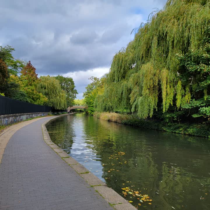 canal-trees2