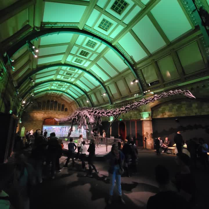 nhm-dippy1