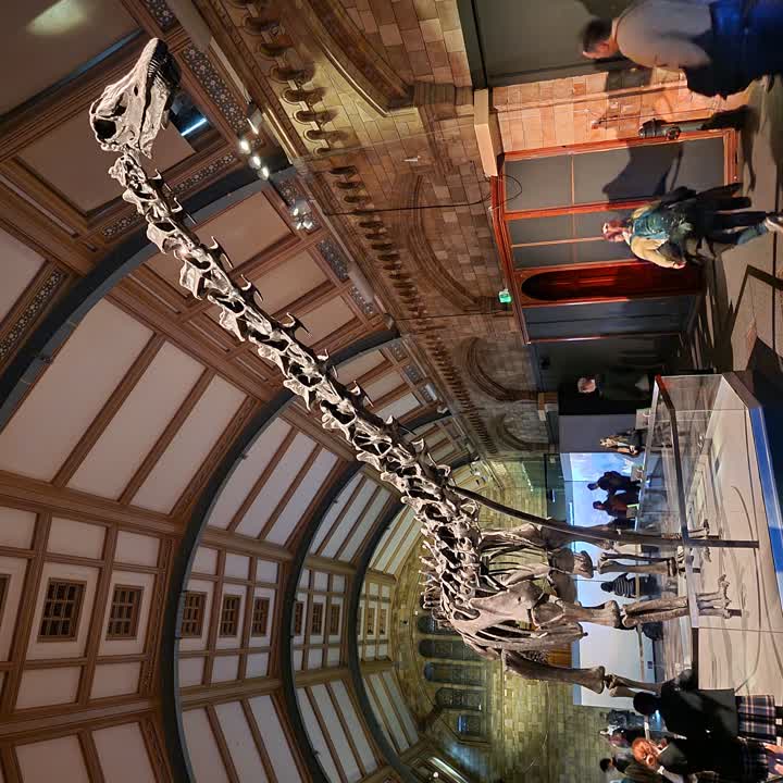 nhm-dippy2