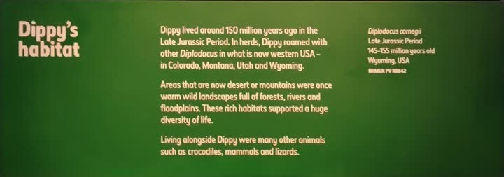 nhm-dippy-info