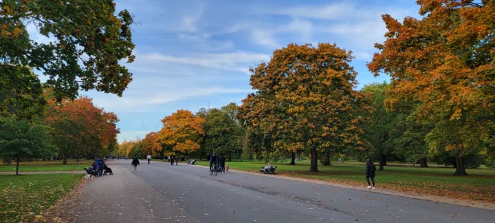 pretty-leaves