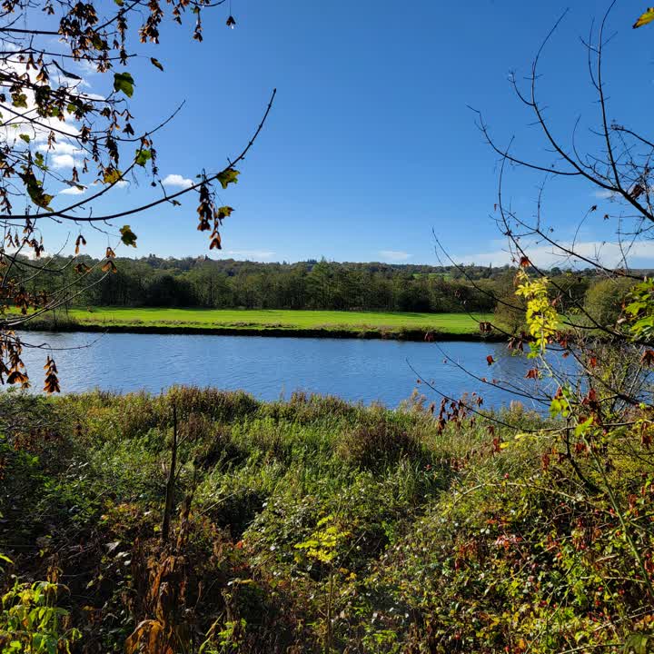 goring-thames