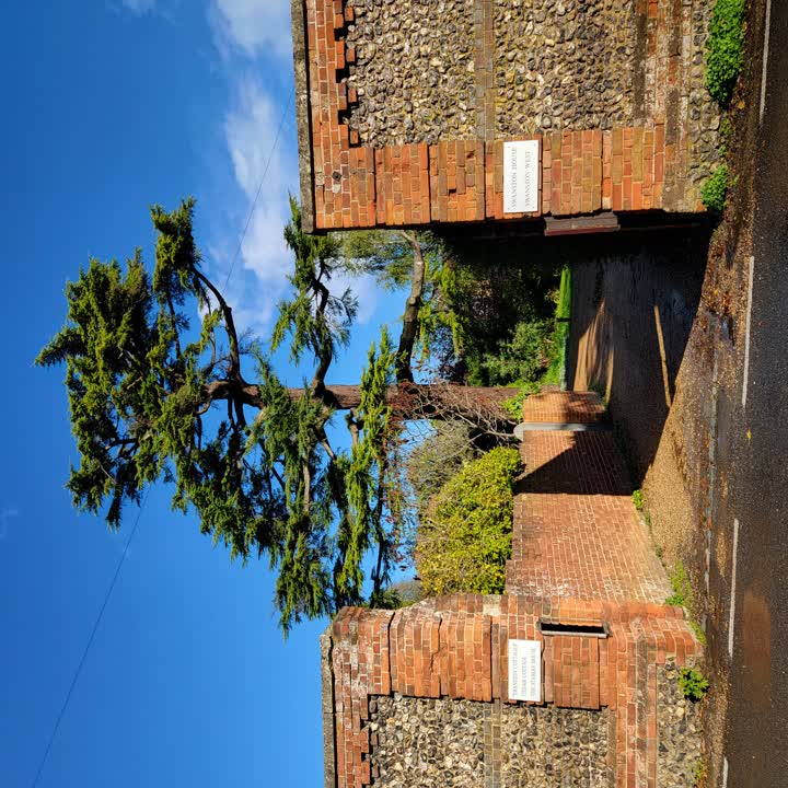 goring-tree2