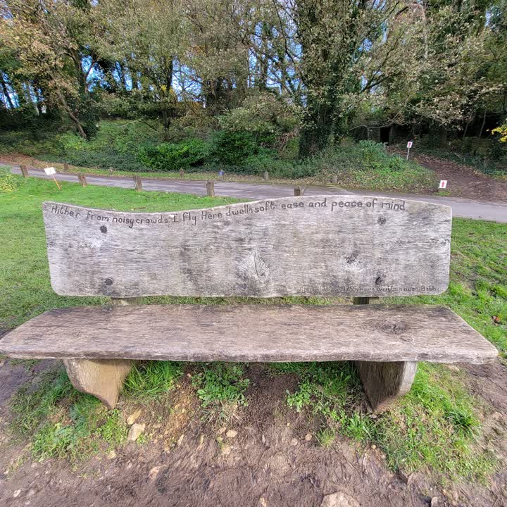 bench