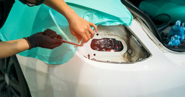 High-impact Fleet Wrap Graphics in Denver