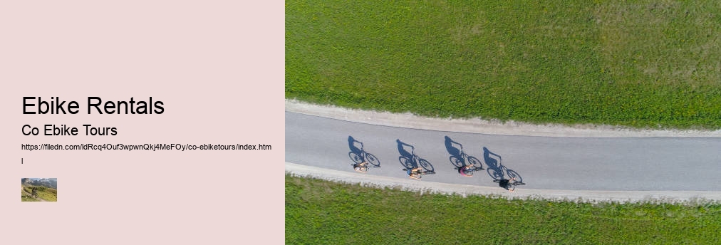 Ebike Rentals
