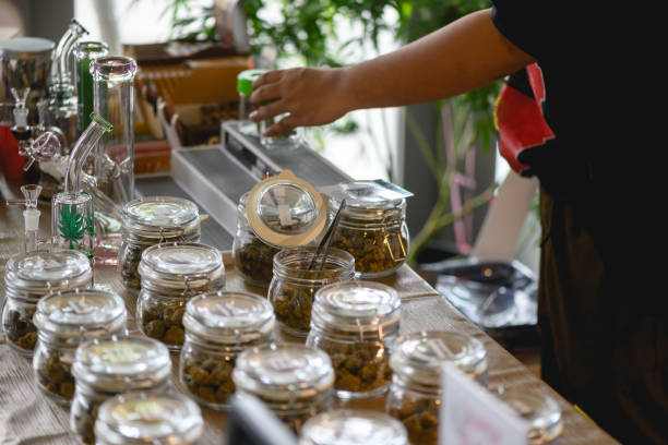 Master the Art of Eco-Friendly Enjoyment with Our Guide to Sustainable Cannabis in Denver