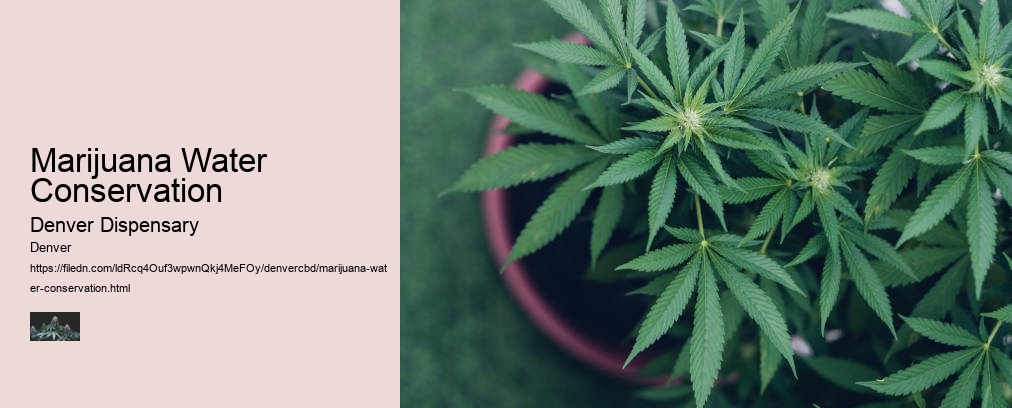 Marijuana Water Conservation