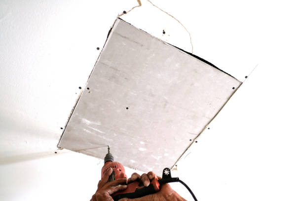 The  Function of  Expert  Examination in Drywall  Layout in Colorado