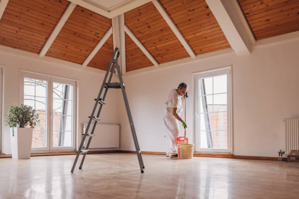 What Is Stopping You From Achieving the Perfect Ambiance at Home? Not Our Overland Park Quality Paints!