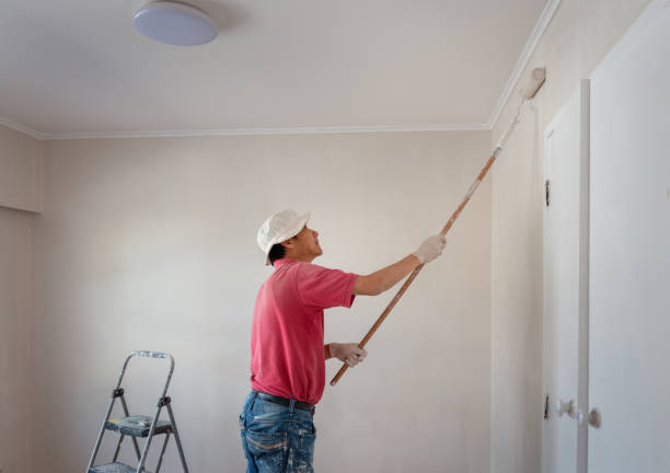 **The Impact of Climate on Interior Paint Selection:**