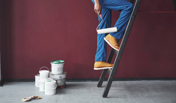 Eco-Friendly Interior Painting Options in St Louis