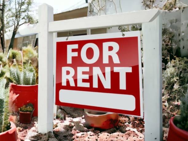 Denver Elections: The Importance of Proper Political Yard Sign Size