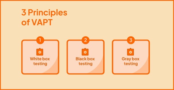 Principles of VAPT