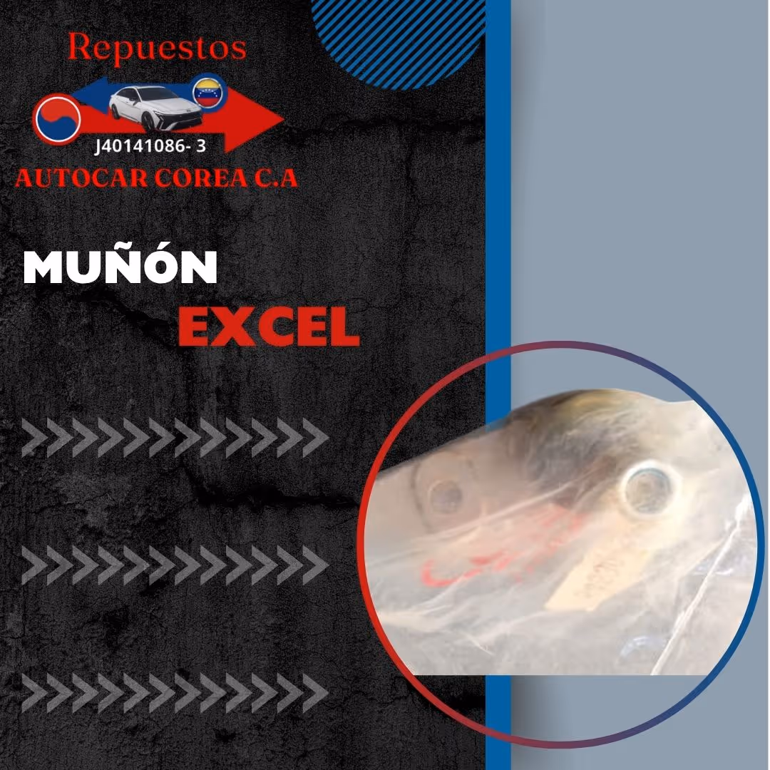 Muñón Excel 