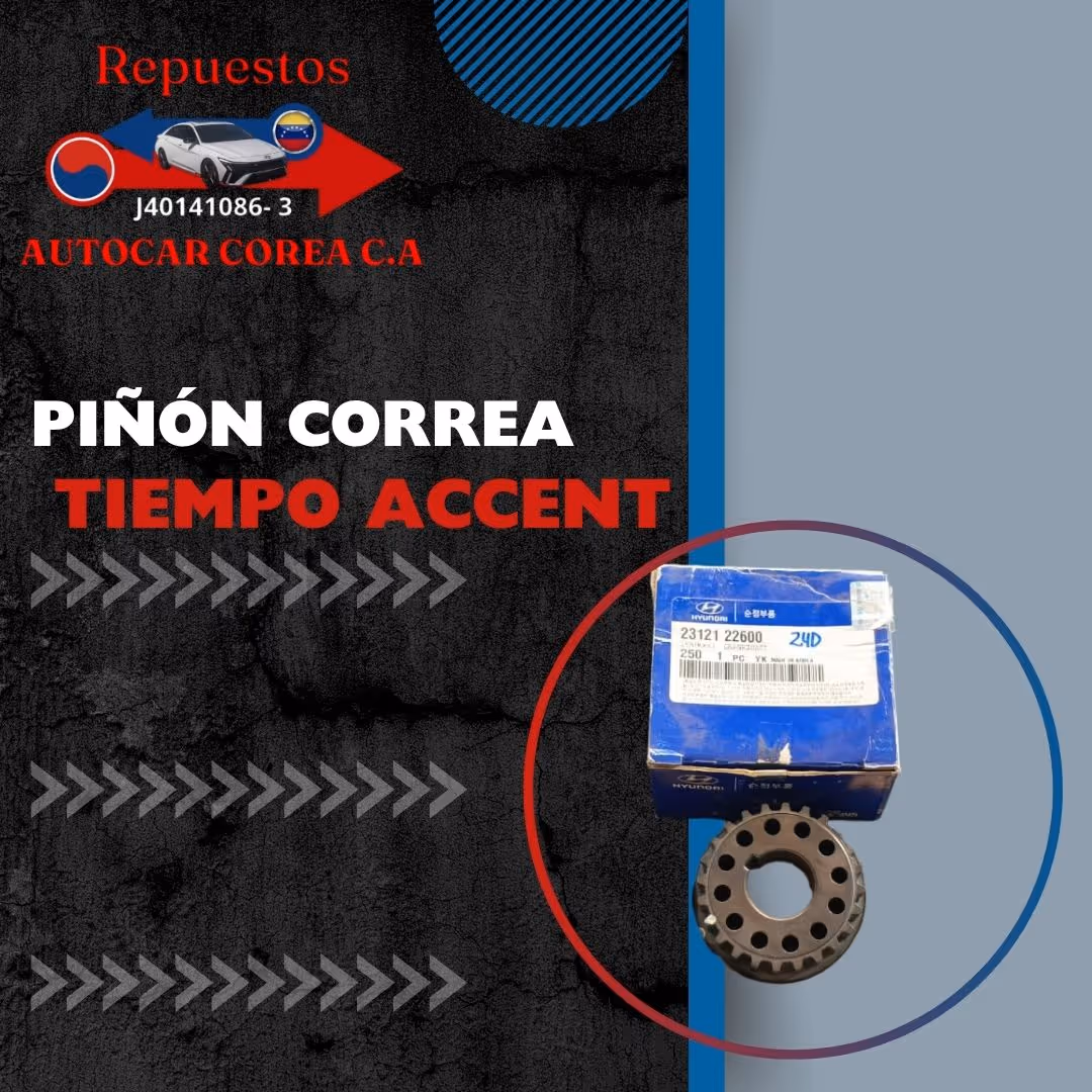 PIÑON CORREA DE TIEMPO ACCENT 