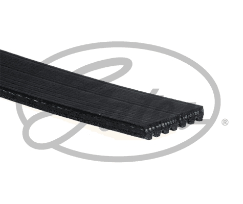 Gates V-Ribbed Belts 11281747922 11287508239 11287512972 
