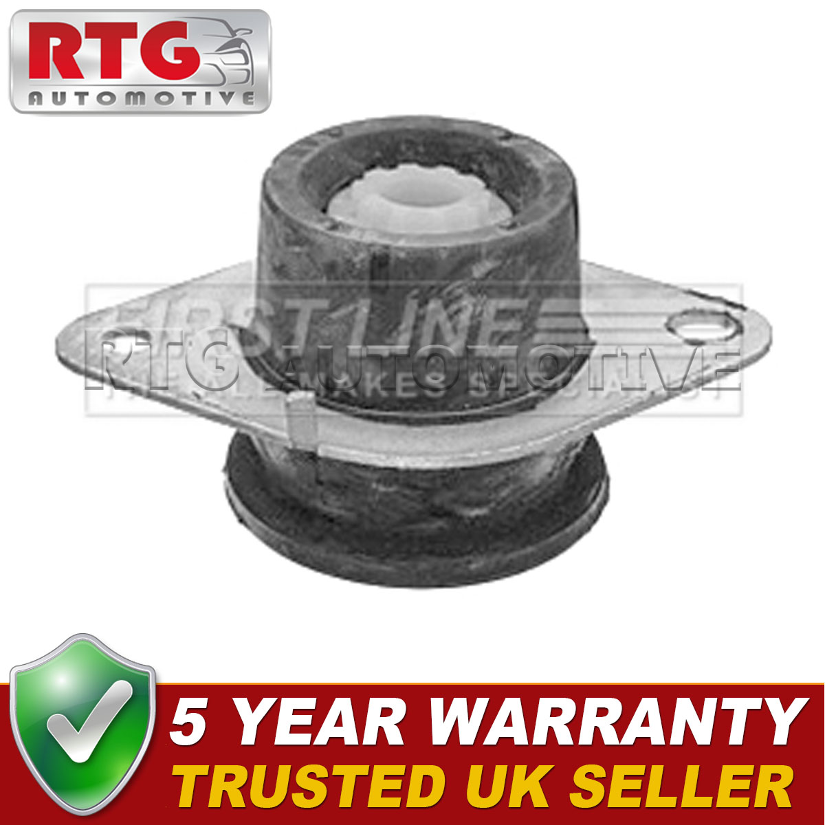 Fits Vauxhall Vivaro Renault Trafic Engine Mounting Front Lower DPW 93860700 | UK