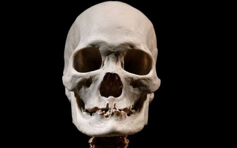 For the planet's 7.6 billion people, 500 million house sparrows, or 100,000 sandpipers, genetic diversity "is about the sam