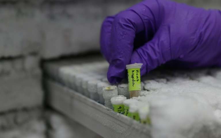 In analysing DNA barcodes across 100,000 species, researchers found a telltale sign showing that almost all the animals emerged 