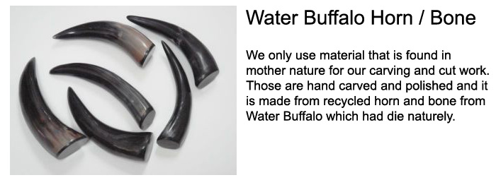 About Buffalo