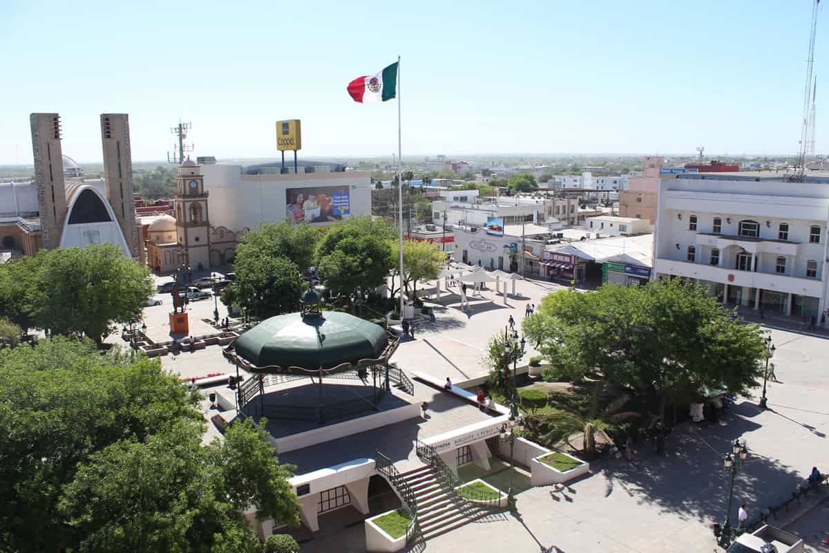 Ideas de Negocios Rentables en Reynosa