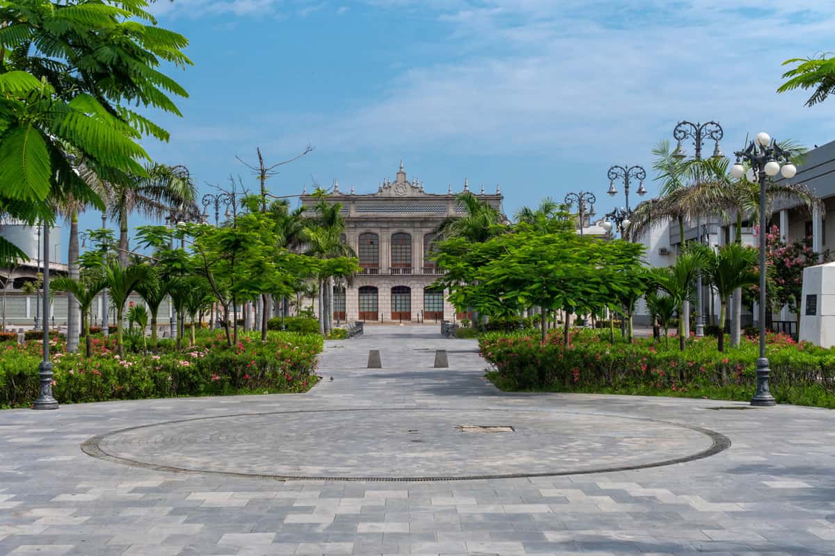 Ideas de Negocios Rentables en Veracruz