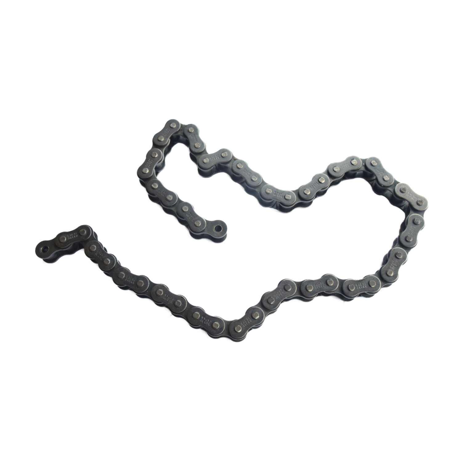 DS-100 | Chain Roller | corrosion resistant