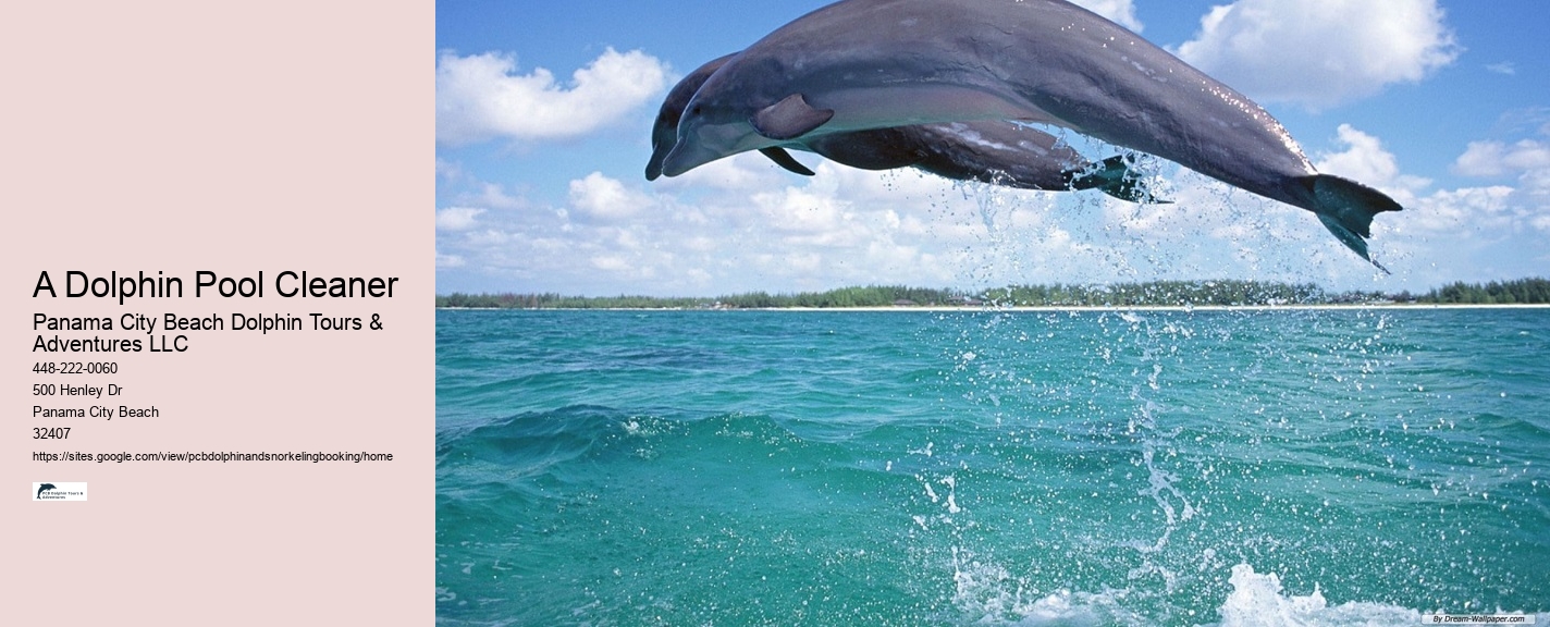 Snorkel Tours