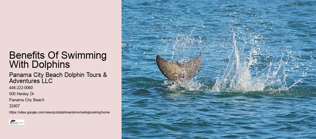 Benefits Of Swimming With Dolphins