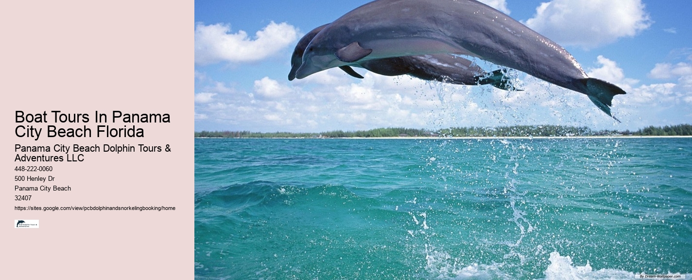 Dolphin Swimming Above Water