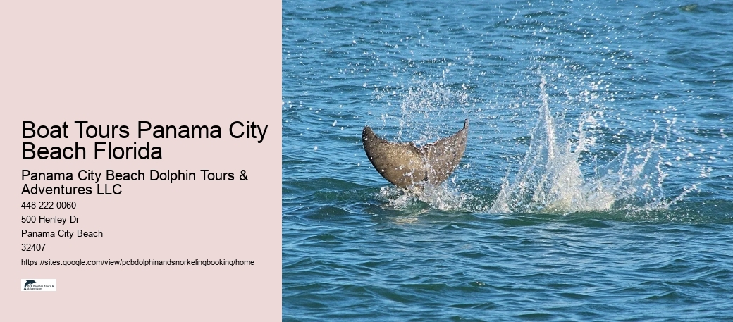 Boat Tours Panama City Beach Florida