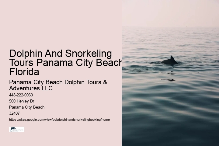 Dolphin And Snorkeling Tours Panama City Beach Florida