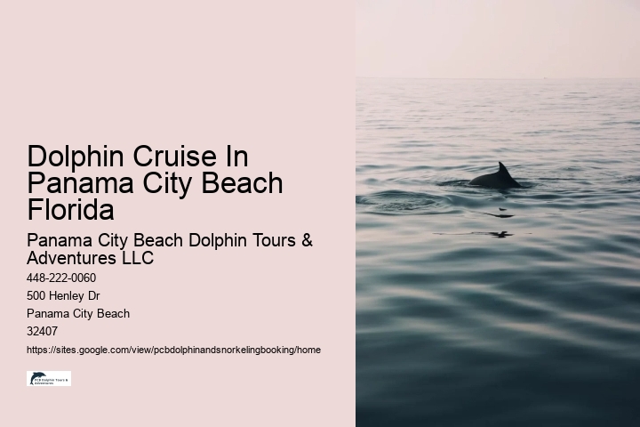 Dolphin Cruise In Panama City Beach Florida