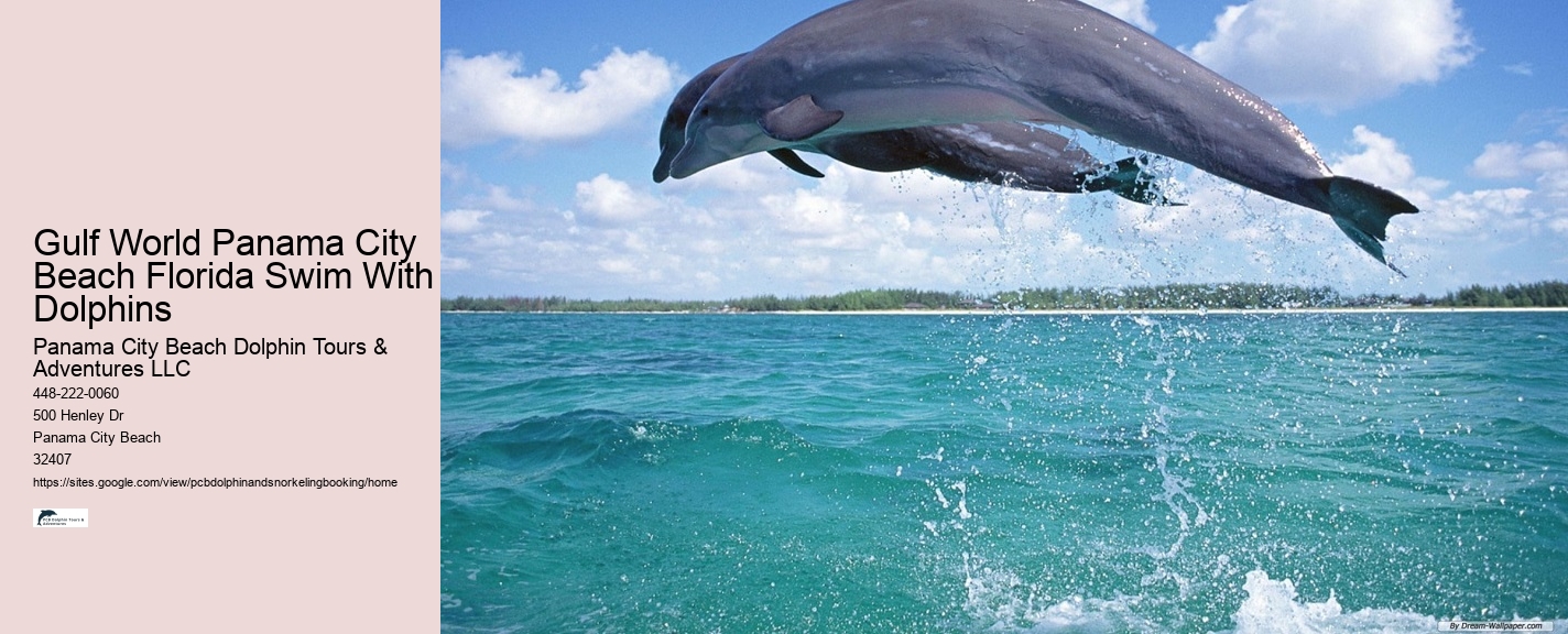 Snorkeling Tours Panama City Beach Florida