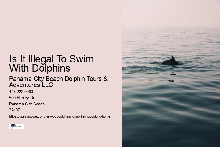 Is It Illegal To Swim With Dolphins